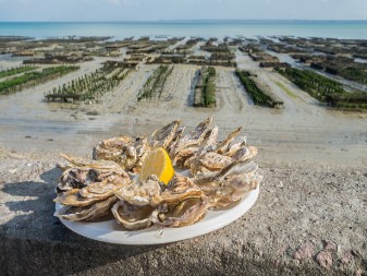 oysters of Cancale