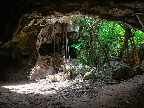 Cayman Brac’s Bat Cave