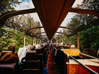 deluxe domed train to Denali
