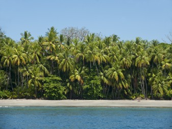 Isla Parida
