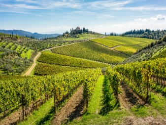 winery in Tuscany